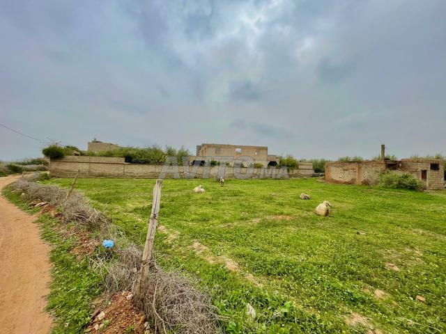 Terrain 1000 m² à vendre melkiya 25 min Marrakech