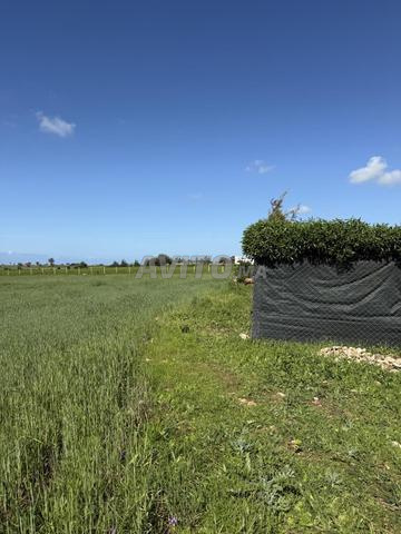 17500 متر موثق ذو موقع استثنائي - 2