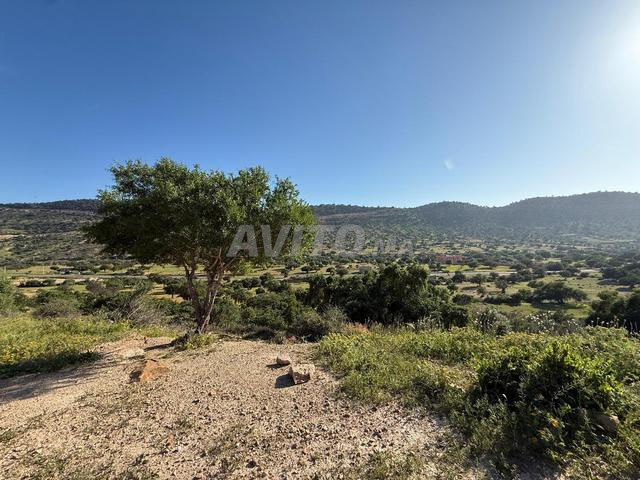 Terrain Titré Oasis D ALMA 15 mn d'Agadir