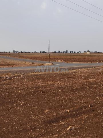 Terrain titré à vendre - 2