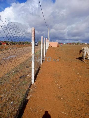 أرض فلاحية بمساحة 2 هكتار في تيفلت للبيع - 2