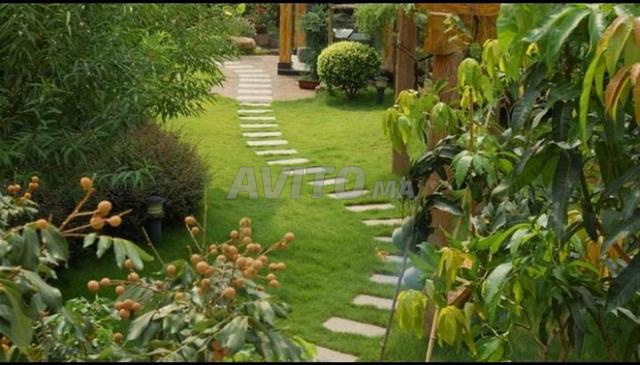 Jardinage disponible