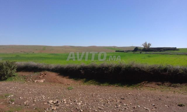 4 hectares Marrakech Aït Ourir