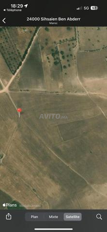 Terrain a vendre a Ben maachou - 2