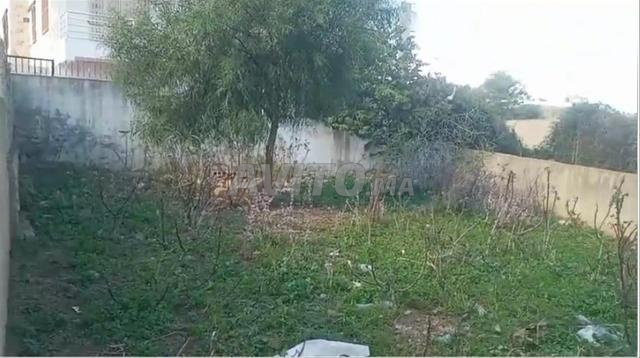 أرض للبيع في سانيا توريس - 2