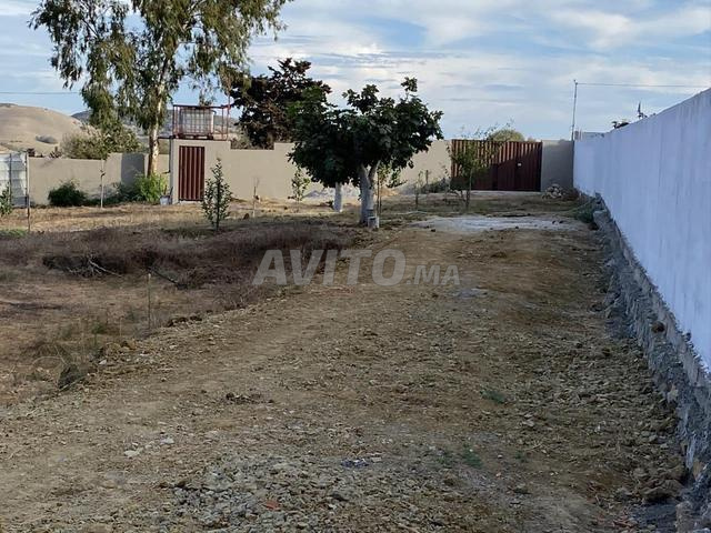 أرض حضرية محفظة مساحتها 1490 متر بالرقادة العرائش - 2