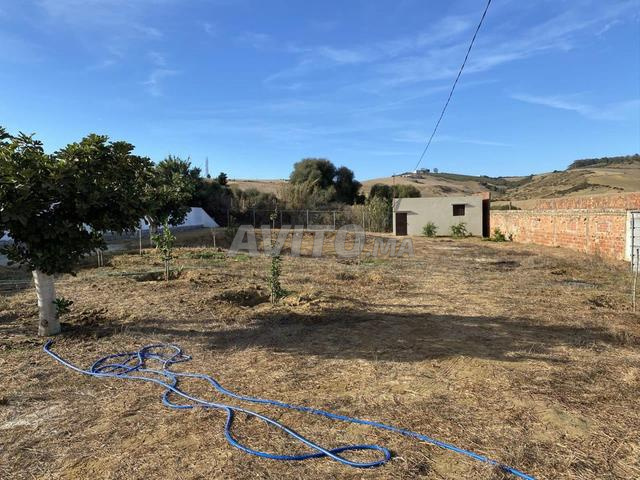 Terrain urbain titré de 1490 mètres à R'gada Larache