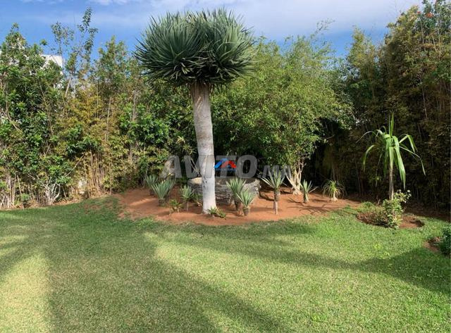 Villa à vendre Souissi Rabat - 2