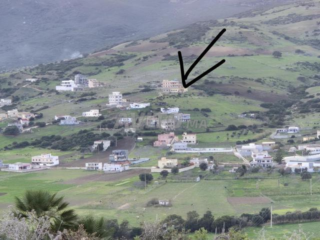 Terrain de 1000 m² a vendre a Ouad Alian - 2