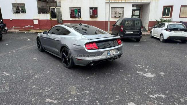 2023 ford mustang 