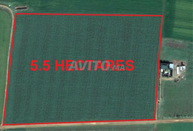 Vente de terrains et fermes à Azemmour - 2