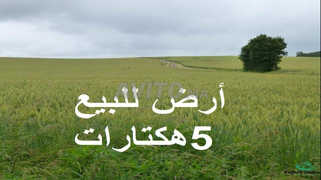أراضي محفظة بشتوكة للبيع للفلاحة والاستثمار - 2