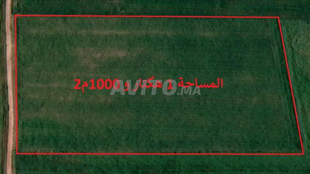 أراضٍ فلاحية محفظة للسكن والاستثمار بسيدي رحال - 2
