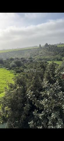 أرض للبيع ببوزنيقة