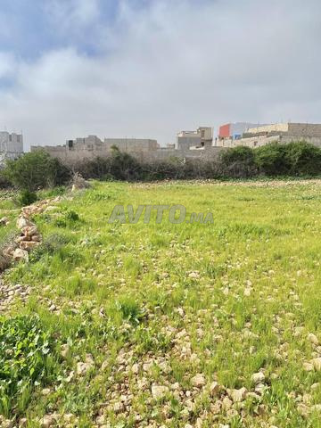 Terrain à vendre Douar timzlad - 2