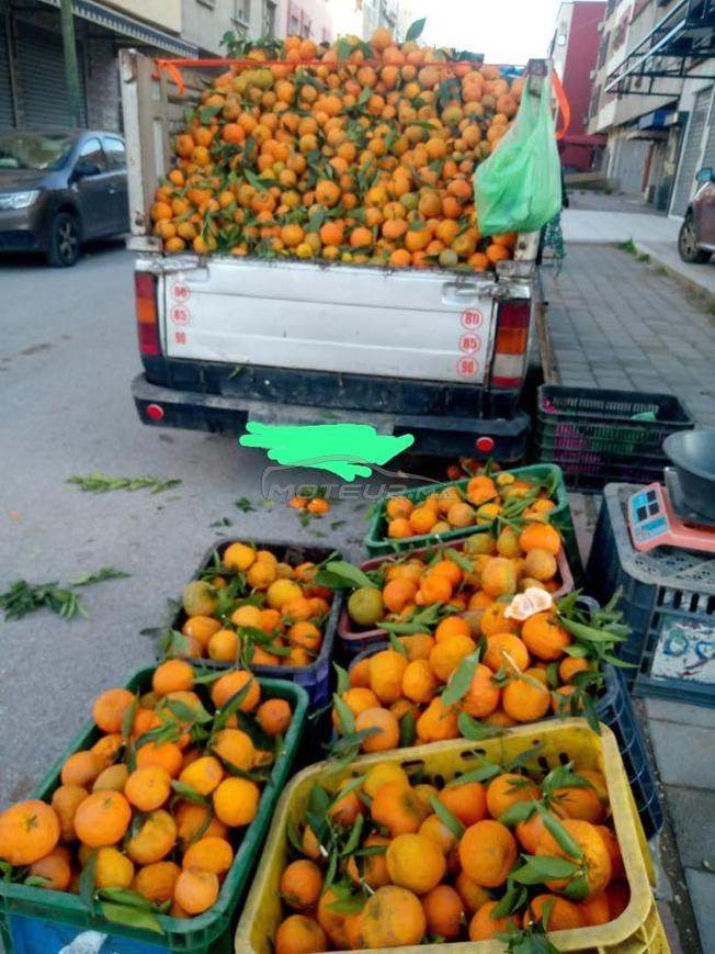 داسيا بيكوب نقية