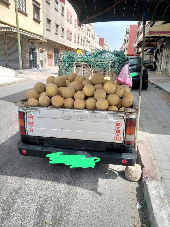 داسيا بيكوب نقية