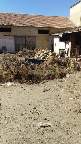 1600m2 في قلب مركز أزرو للبيع - 2