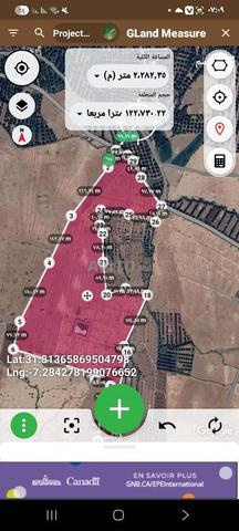 طريق الشعرة بالقرب من مسجد أولاد إبراهيم. - 2