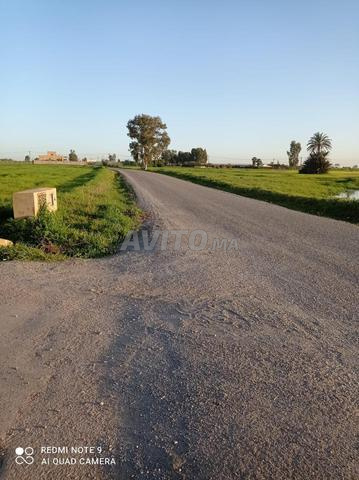 7000 متر للبيع نواحي بوزنيقة شراط