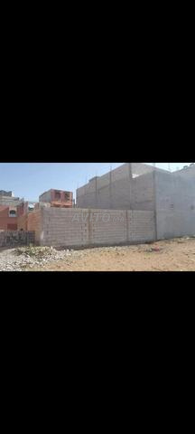 Boîte Fahashesh Sidi Bibi - 2