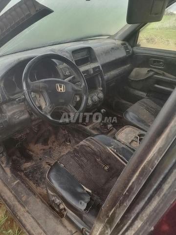 دوار بيت الهاشمي متوح - 2