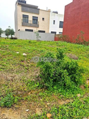 DAR-OU-1002 - أرض للبيع في تاماريس - 2