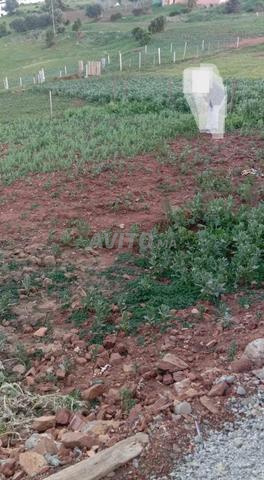 أرض للبيع بمساحة 140 متر مربع طريق أزلا - 2