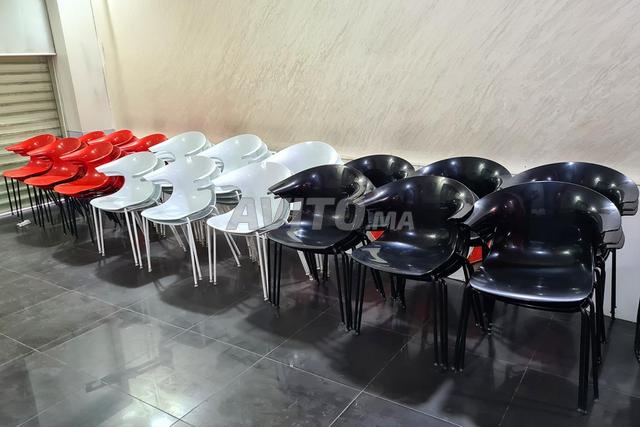 51 كراسي Loop للمقاهي - Made in Italy