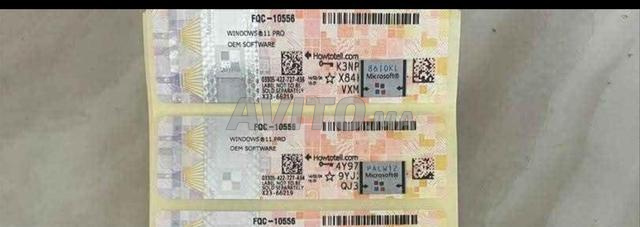 رخصة رقمية Windows 11 للمحترفين