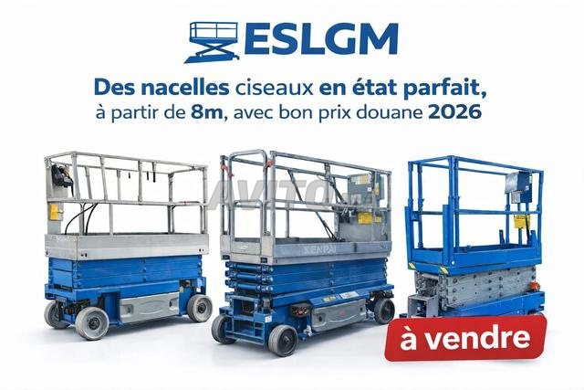 رافعة مقصية