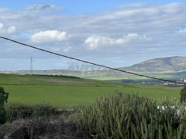 1000م² فيلا - 2