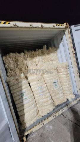 فيلاس هوتة تمن لا يقهر