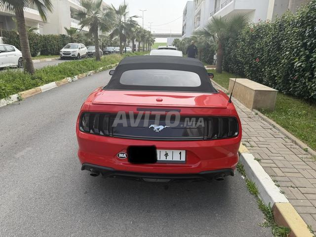 موستانج ايكوبوست 2021 كابريوليه - 2