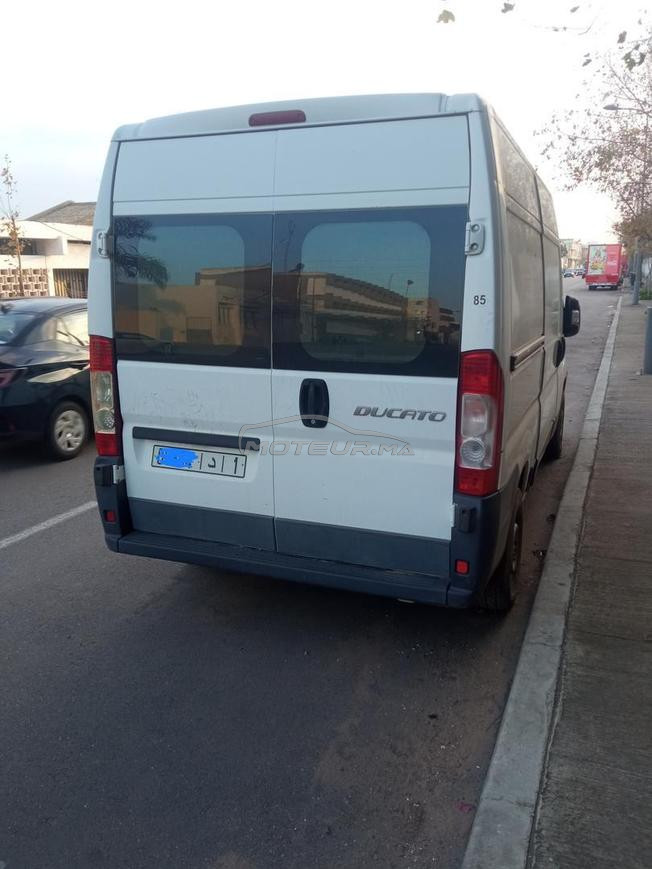 Fiat Ducato Diesel Manuelle 2013 à Rabat