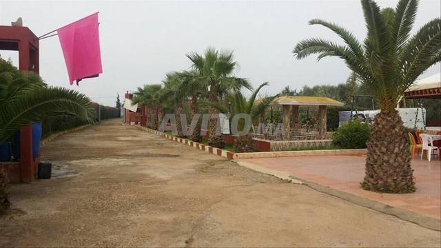 مزرعة بيداغوجية للبيع