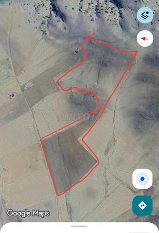 أرض محفظة قرب مدينة مريرت - 2