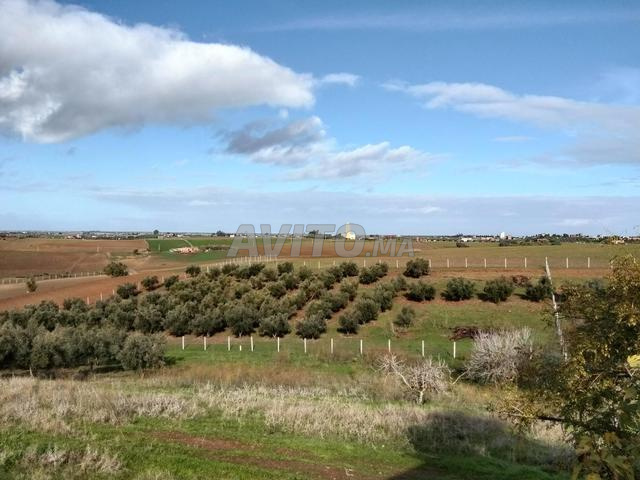 Ferme titrée à kamouni
