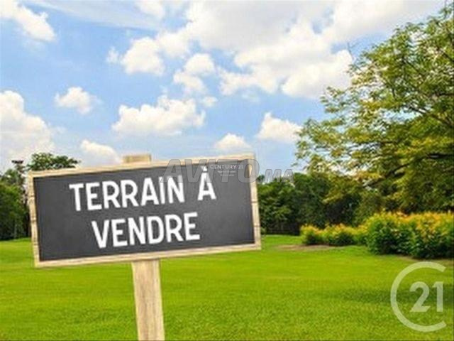 Terrain de 295 m à vendre sur Bd Hassan II