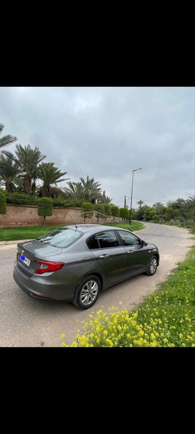 مراكش الداوديات
