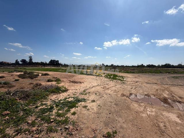 أراضي للبيع - فرصة نادرة في مراكش - 2