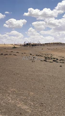 8 هكتار تتر طريق أمزميز - 2