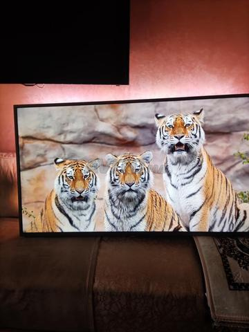 تلفاز 55 Philips smart 4k montage europa 🇮🇹