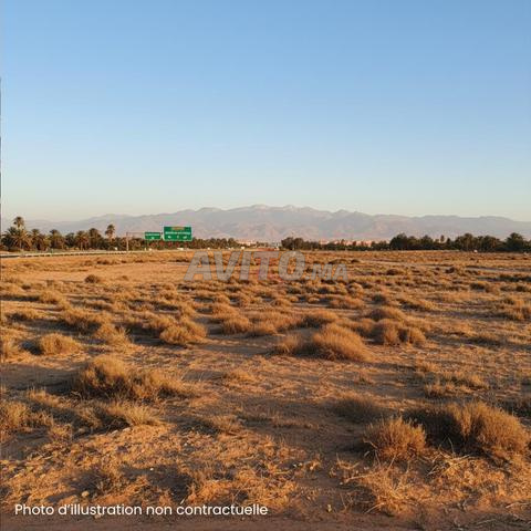 بيع أرض عارية بمساحة 17000 متر مربع في مراكش