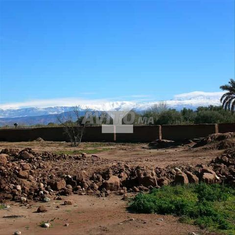 135356-بيع أرض في مراكش الشويطر بمساحة 50590