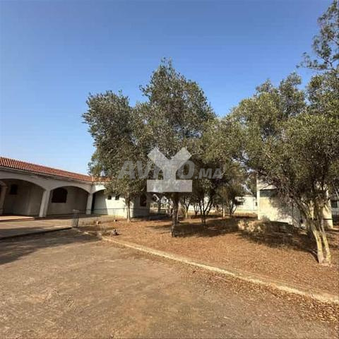 66177-Vente Terrain à Benslimane Foret De Benslima