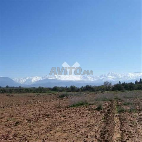20215-بيع أرض في مراكش طريق الأوريكا