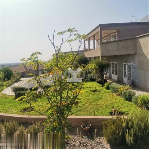 137167-Vente Terrain à Marrakech Essaada de 10238