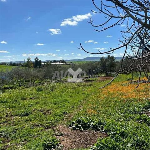 54846-بيع أرض في مساحة 9474 م²