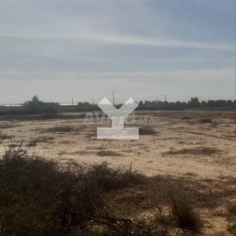 85890-Vente Terrain à Agadir Zone Touristique de 4